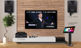 這個(gè)家庭卡拉ok系統(tǒng),能讓你的客廳變成影音室哦